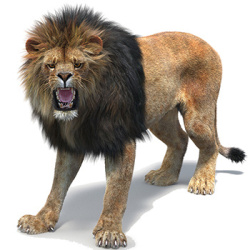 Rigged Lion 3D Models for Download | PROmax3D