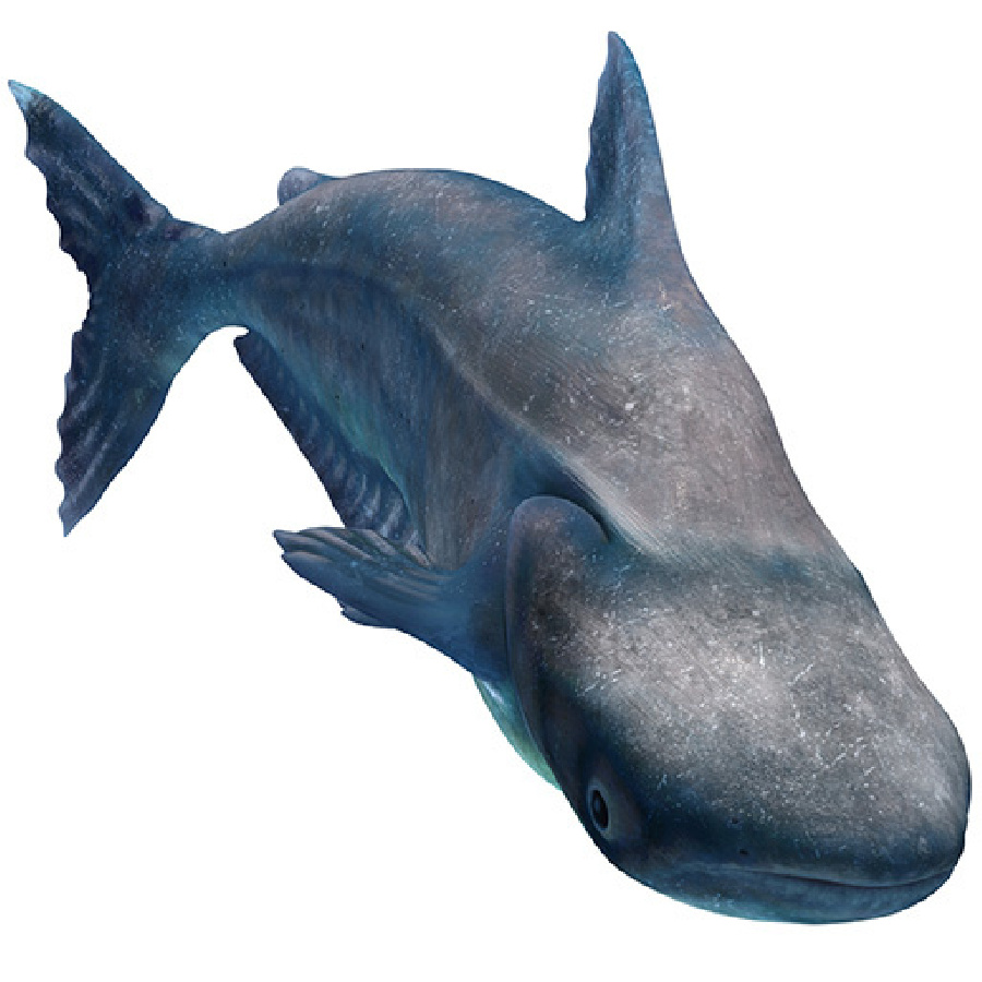 Mekong Giant Catfish 3D Model for Download | PROmax3D