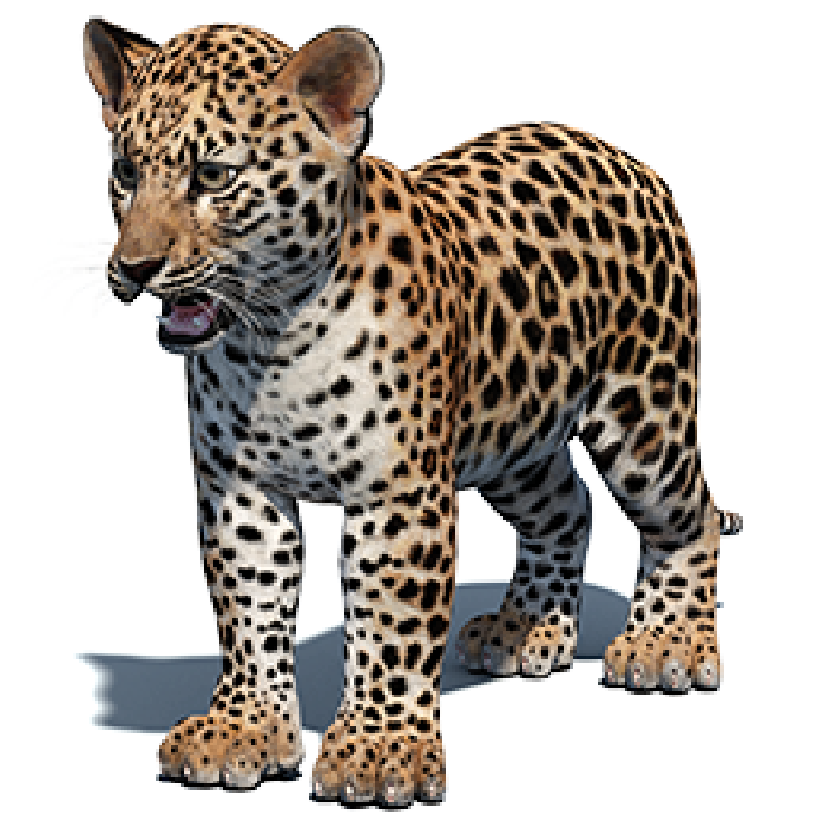 Baby Leopard 3D Models for Download | PROmax3D