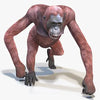 Ape 3D Models