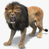 Rigged Lion 3D Models