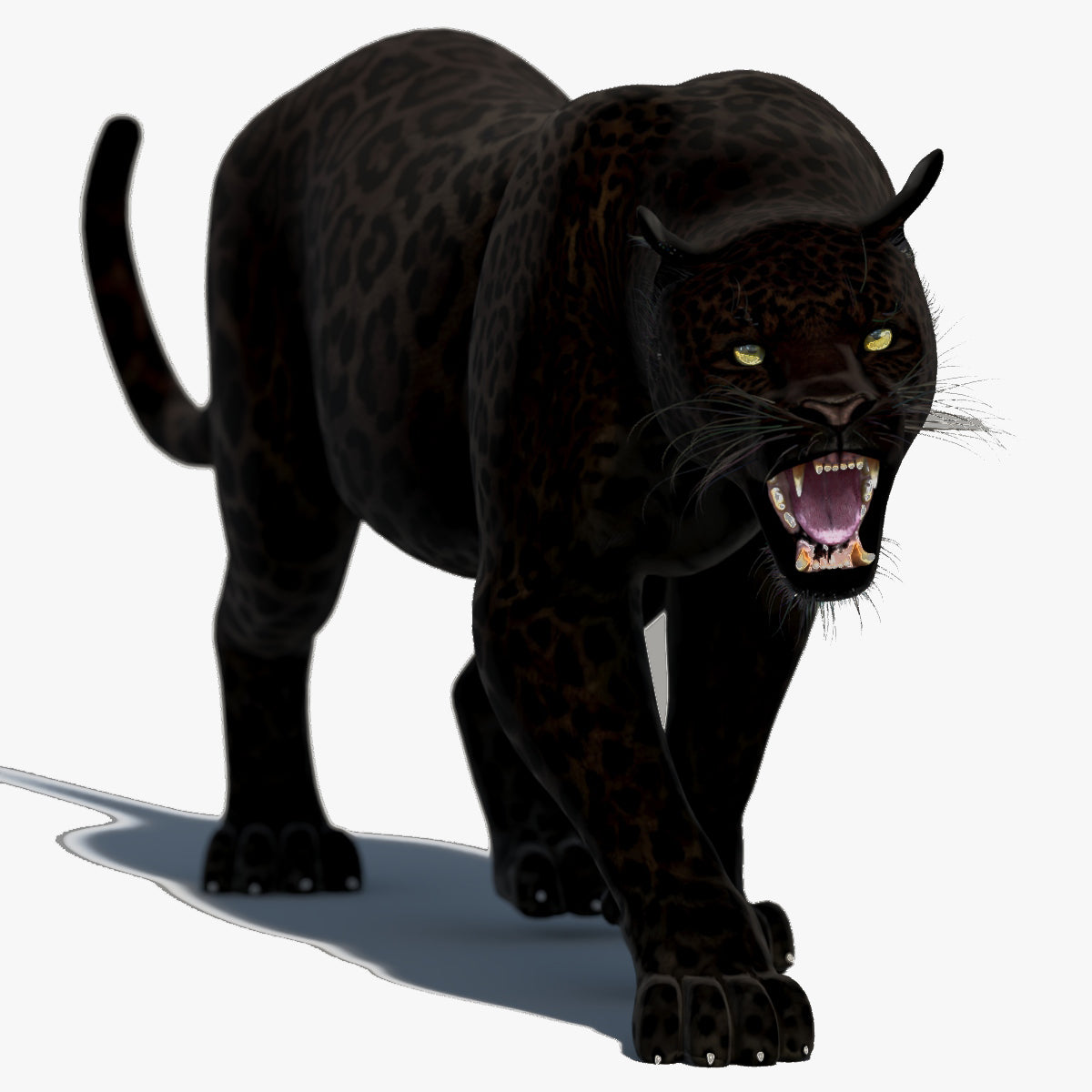 Black Panther Animal 3D Model for Download