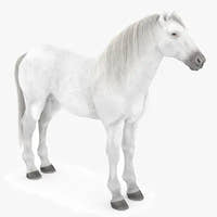 Realistic Horse 3D Models for Download