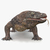 Reptiles 3D Models