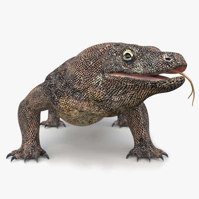 Realistic Reptiles 3D Models for Download