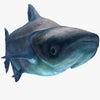 Mekong Giant Catfish 3D Models