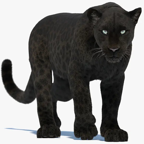 Realistic Panther 3D Models for Download