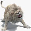 White Lion 3D Models
