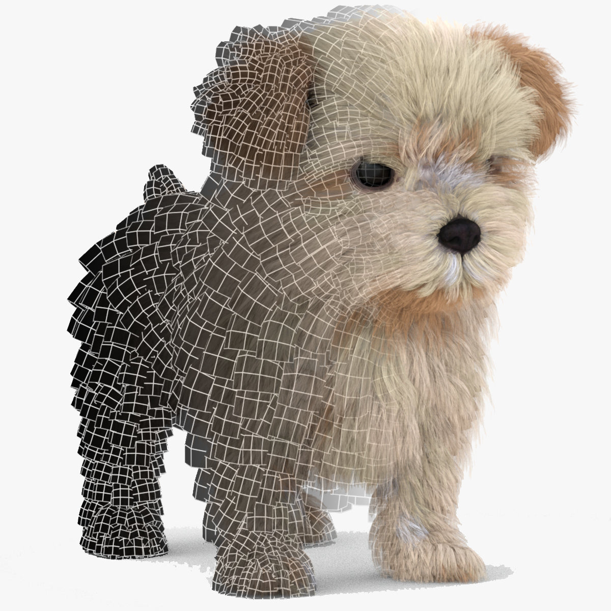 3D Modeler to Hire — Game-Ready Animal Models