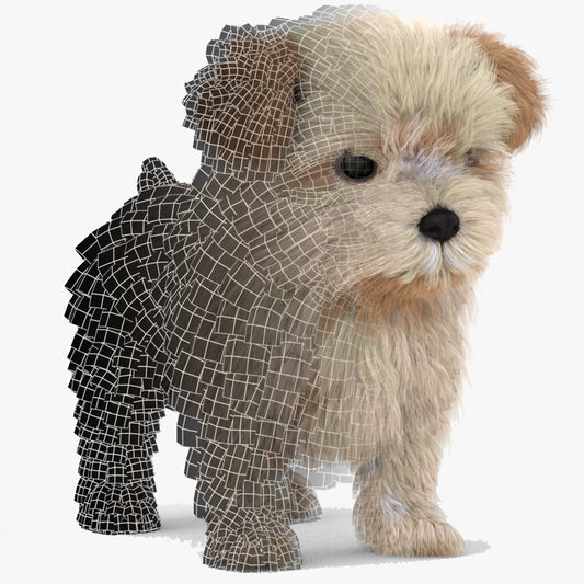 3D Modeler to Hire — Game-Ready Animal Models