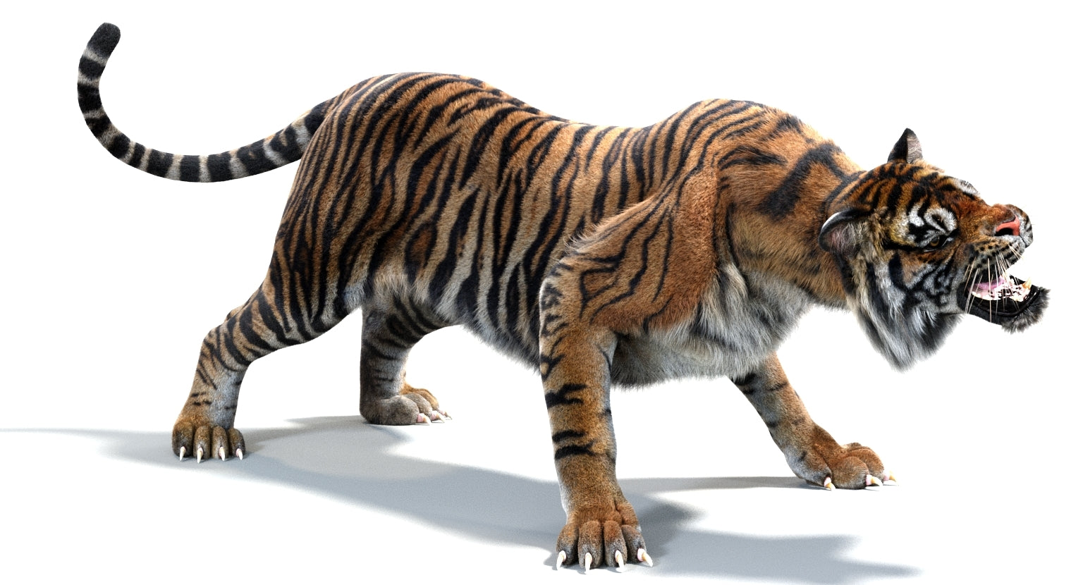 Tiger 3D Model Rendered on White Background