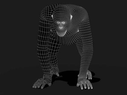 Custom 3D animal modeling from scratch