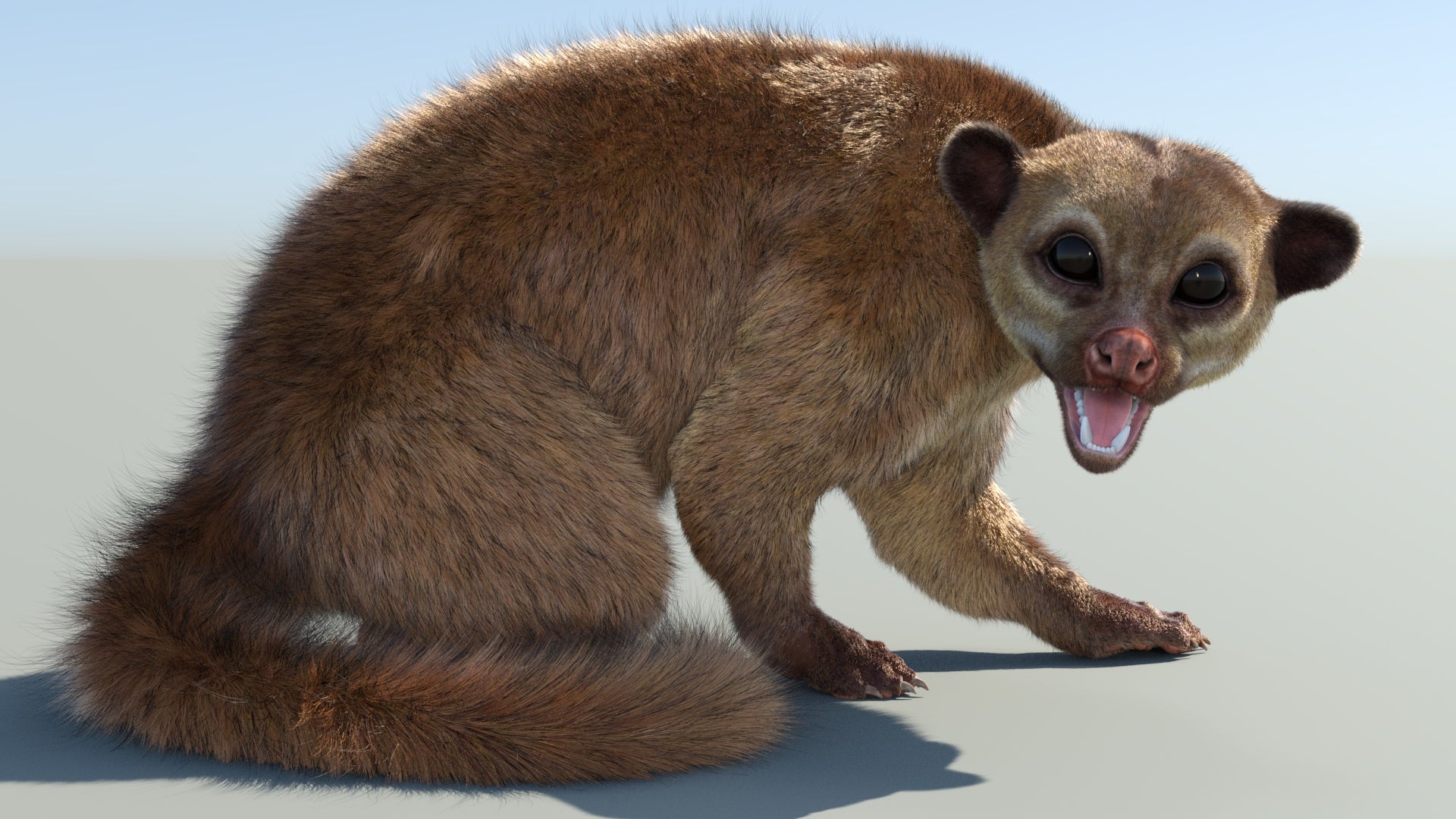 Animated Kinkajou 3D Model with Fur