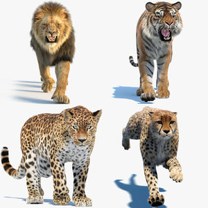 Big Cat 3D Model Bundle – Fully Rigged, Animated, and with Fur Thumbnail