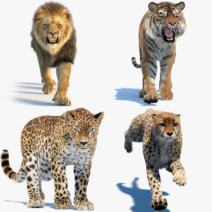 Big Cat 3D Model Rigged Animated Fur Bundle