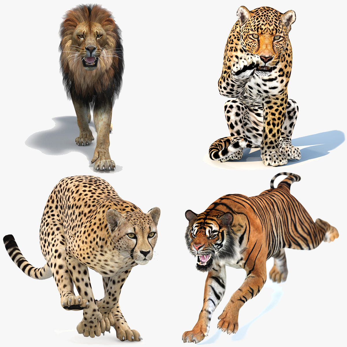 Big Cats Game-Ready 3D Model Bundle: Lion, Tiger, Leopard and Cheetah