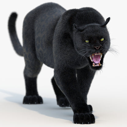 Animated Black Panther Animal 3D Model with Fur