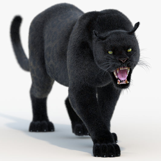 Animated Black Panther Animal 3D Model with Fur