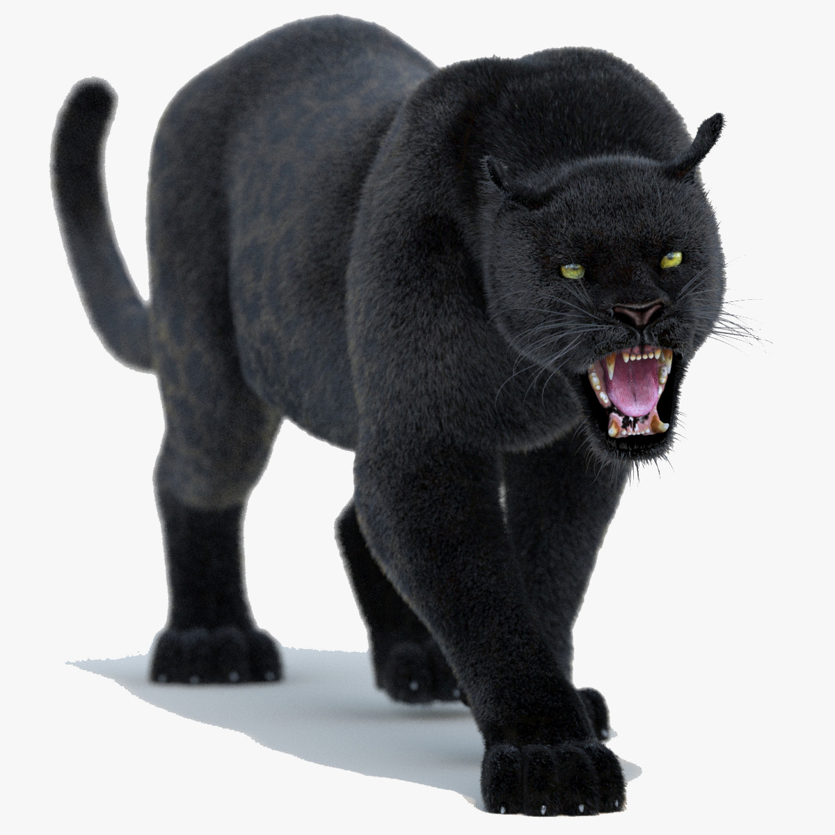 Animated Black Panther Animal 3D Model with Fur
