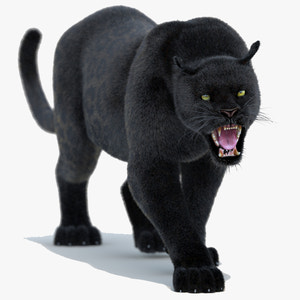 Animated Black Panther Animal 3D Model with Fur Thumbnail
