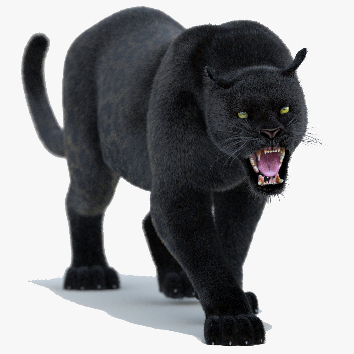 Animated Black Panther Animal 3D Model with Fur