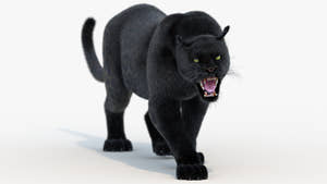 Animated Black Panther Animal 3D Model with Fur Thumbnail