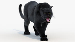 Animated Black Panther Animal 3D Model with Fur Thumbnail