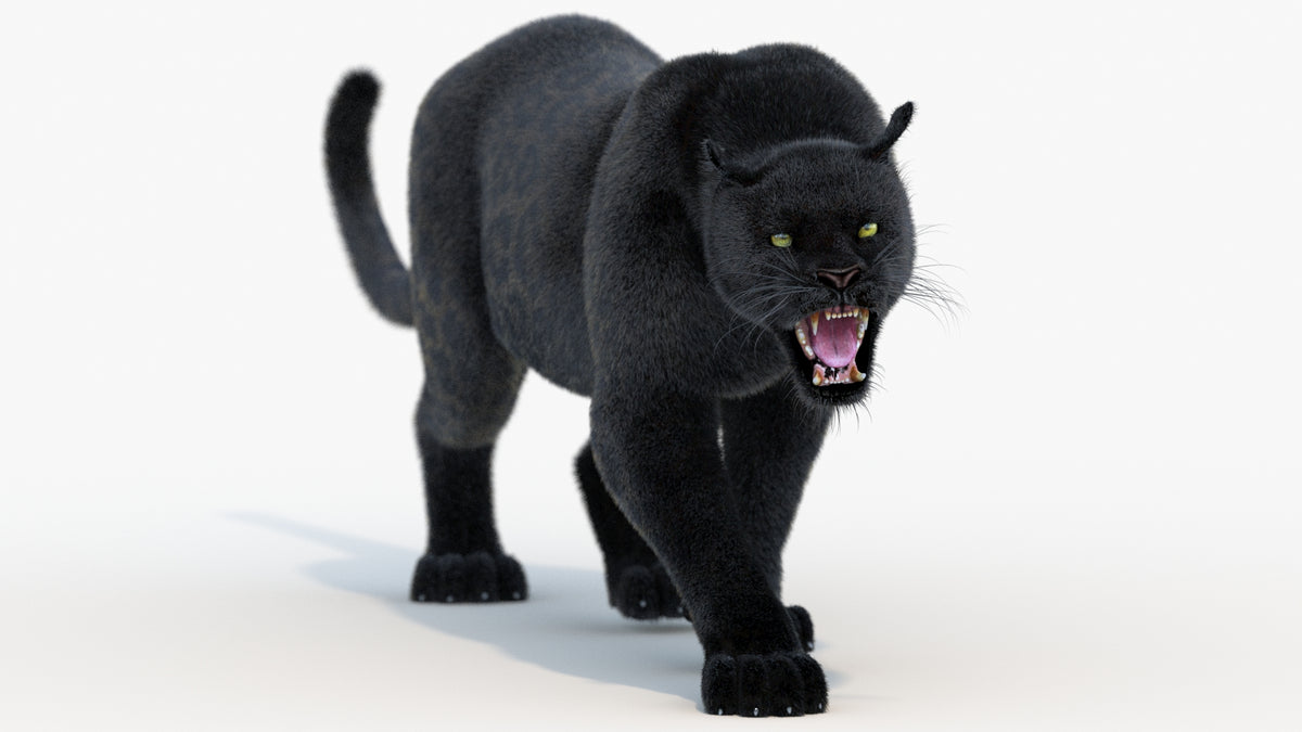 Animated Black Panther Animal 3D Model with Fur