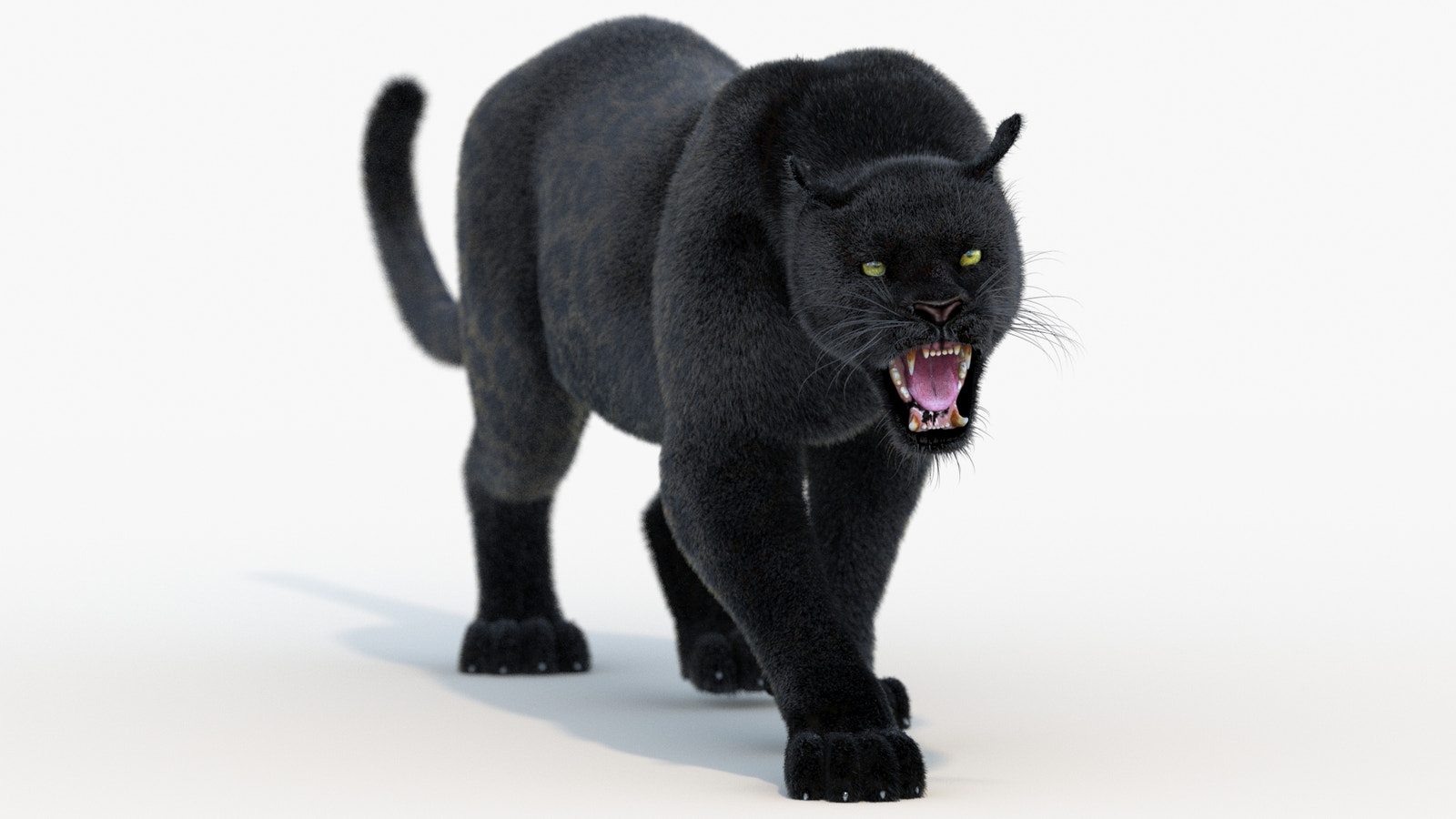 Animated Black Panther Animal 3D Model with Fur