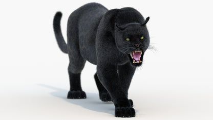 Animated Black Panther Animal 3D Model with Fur