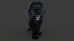 Animated Black Panther Animal 3D Model with Fur Thumbnail