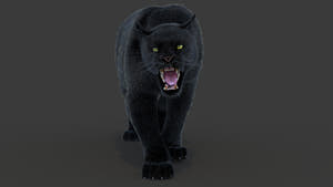 Animated Black Panther Animal 3D Model with Fur Thumbnail