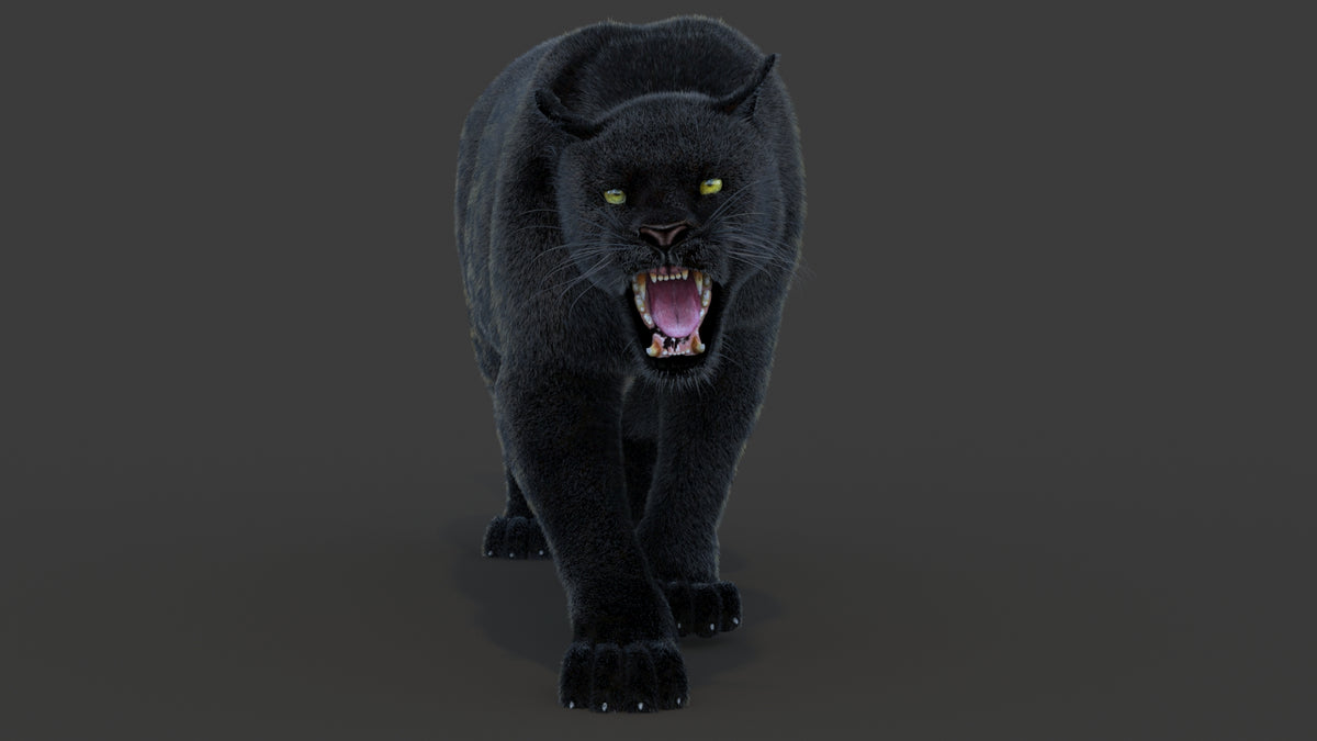Animated Black Panther Animal 3D Model with Fur