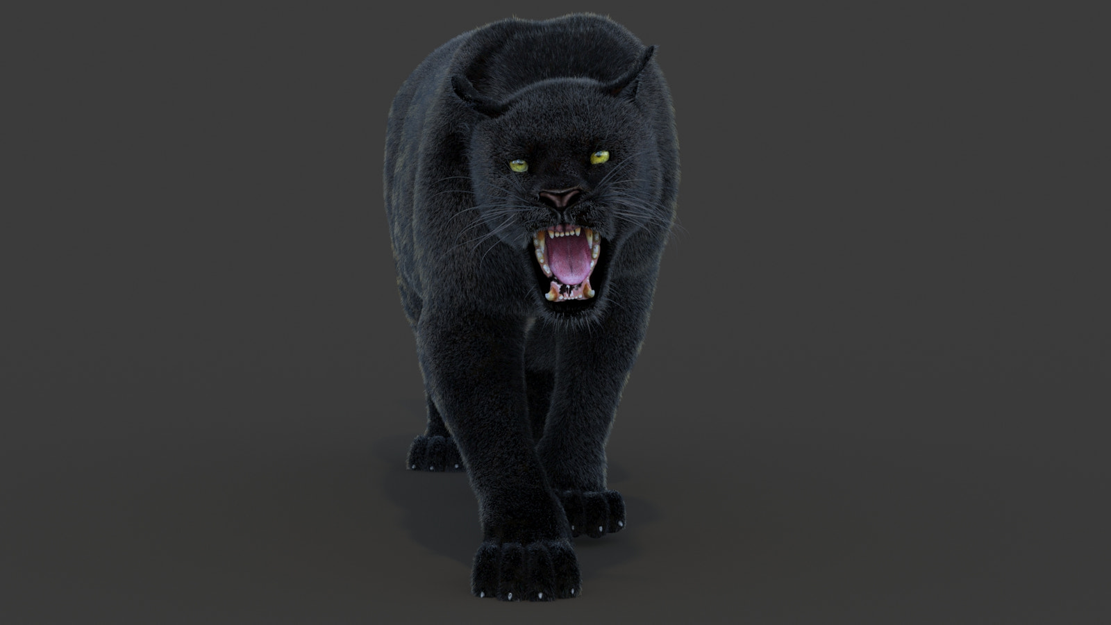 Animated Black Panther Animal 3D Model with Fur
