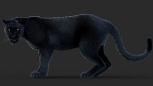 Animated Black Panther Animal 3D Model with Fur Thumbnail