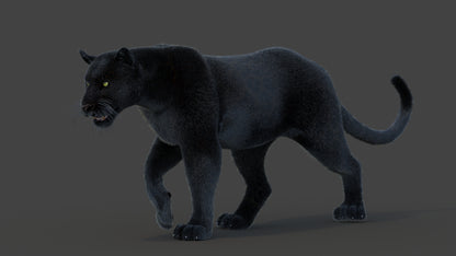 Animated Black Panther Animal 3D Model with Fur