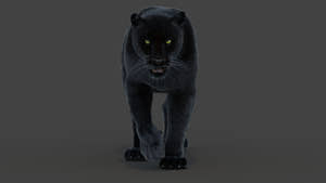 Animated Black Panther Animal 3D Model with Fur Thumbnail