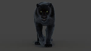 Animated Black Panther Animal 3D Model with Fur Thumbnail