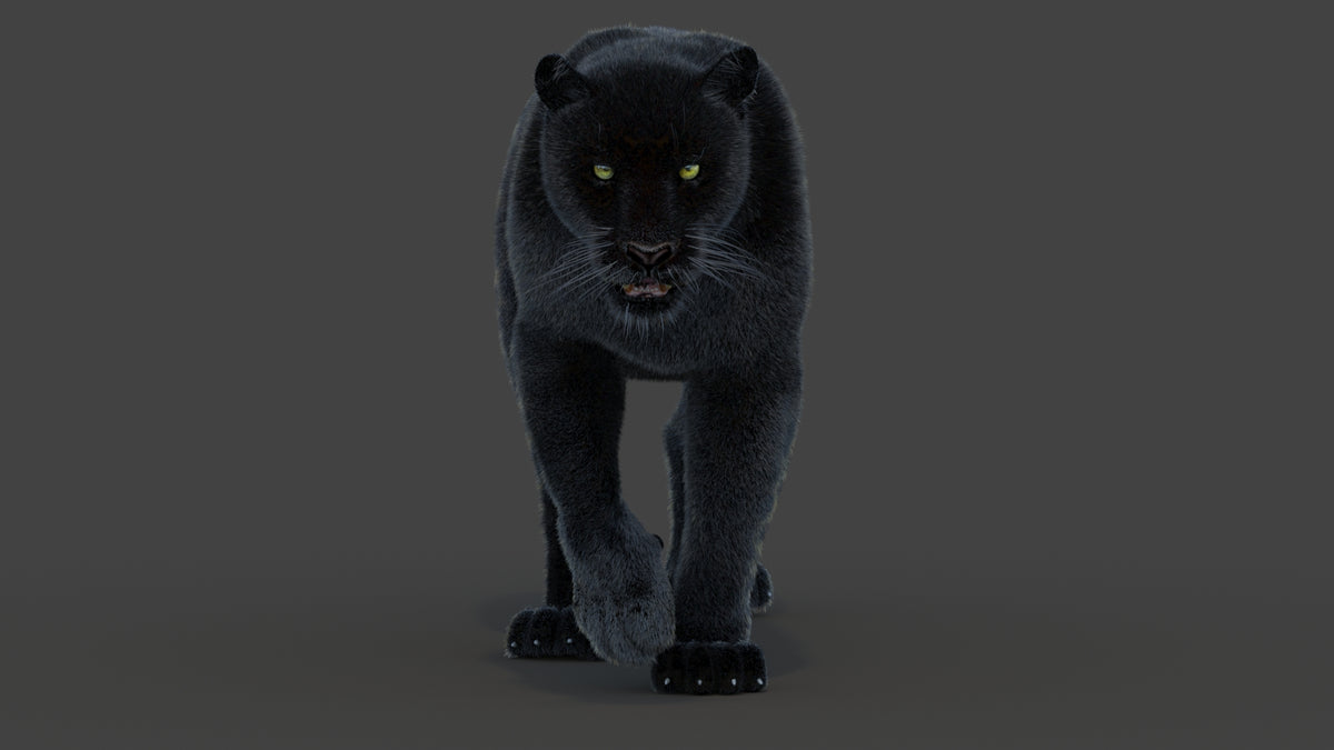 Animated Black Panther Animal 3D Model with Fur