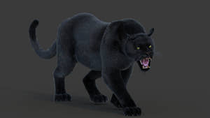 Animated Black Panther Animal 3D Model with Fur Thumbnail
