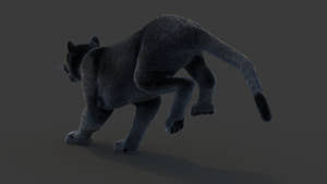 Animated Black Panther Animal 3D Model with Fur Thumbnail