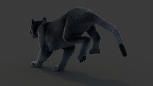 Animated Black Panther Animal 3D Model with Fur Thumbnail