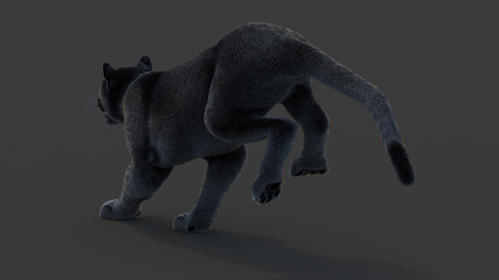 Animated Black Panther Animal 3D Model with Fur