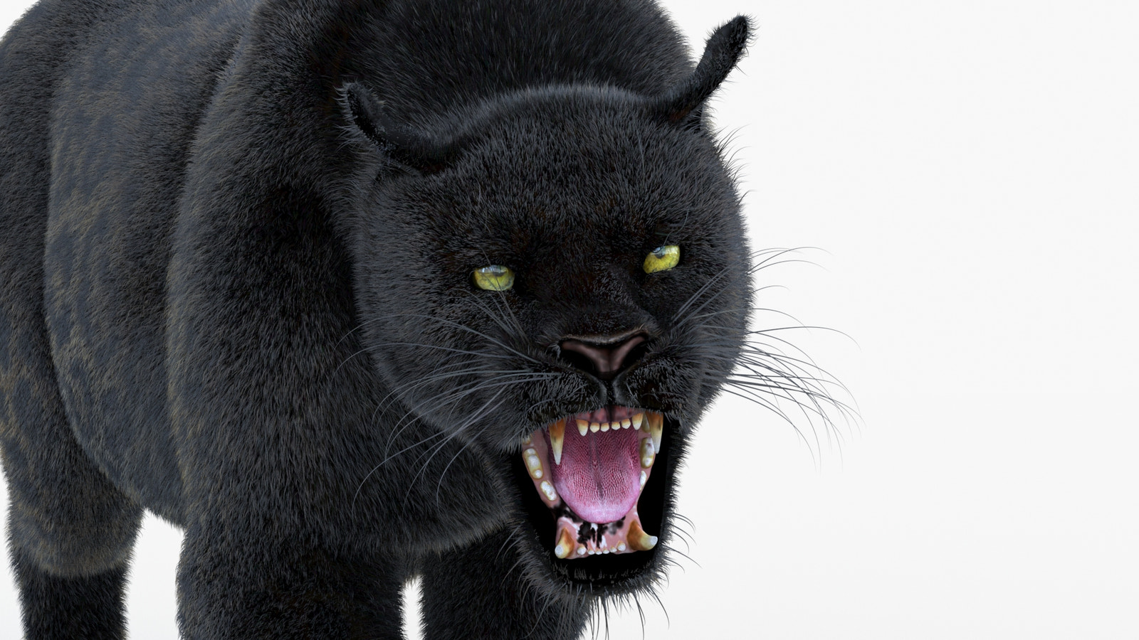 Animated Black Panther Animal 3D Model with Fur