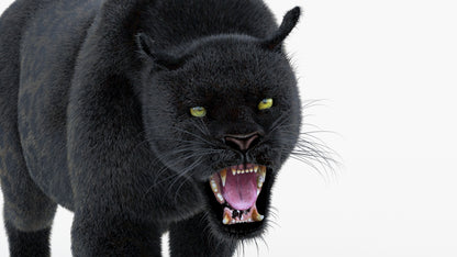 Animated Black Panther Animal 3D Model with Fur
