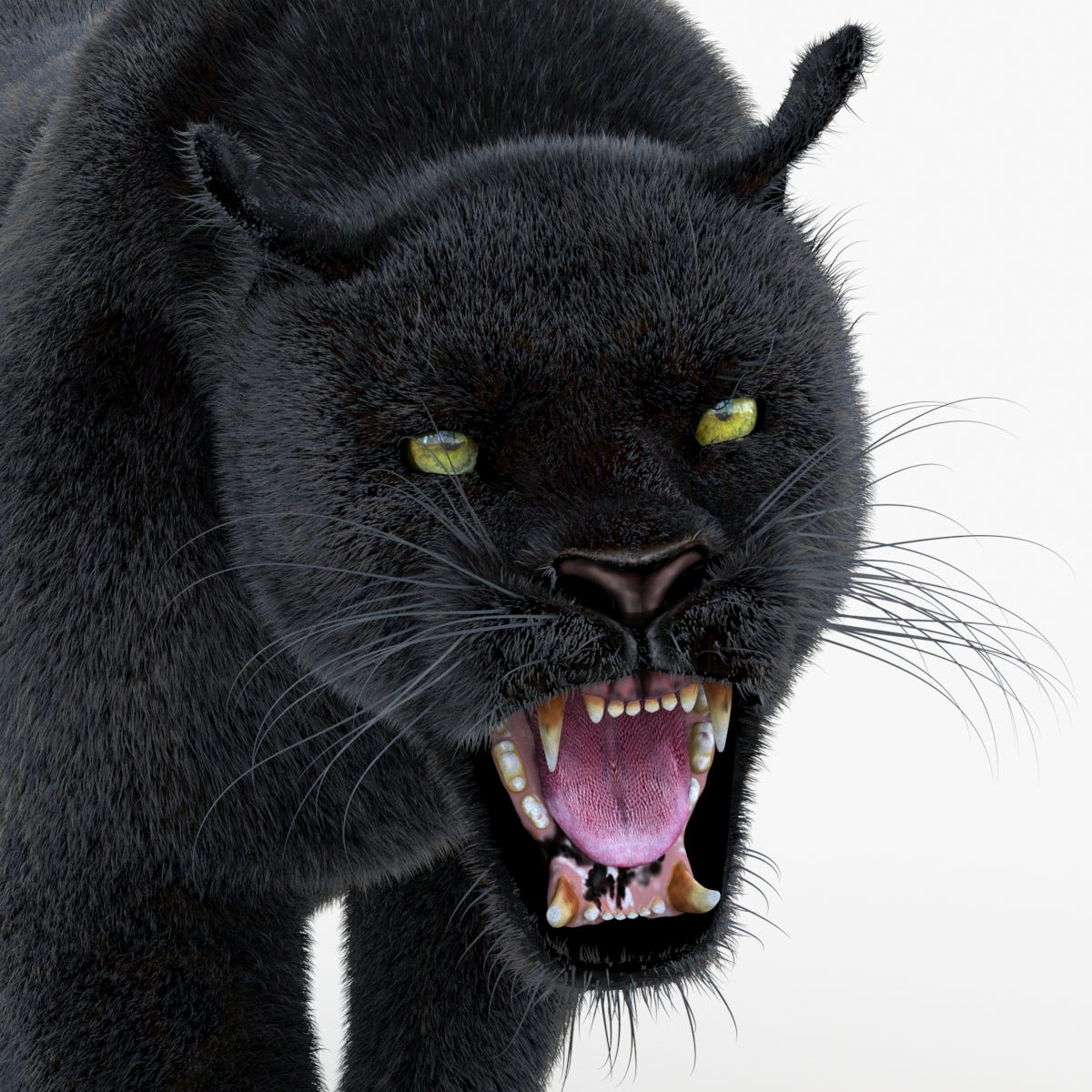 Animated Black Panther Animal 3D Model with Fur