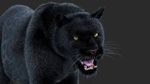 Animated Black Panther Animal 3D Model with Fur Thumbnail