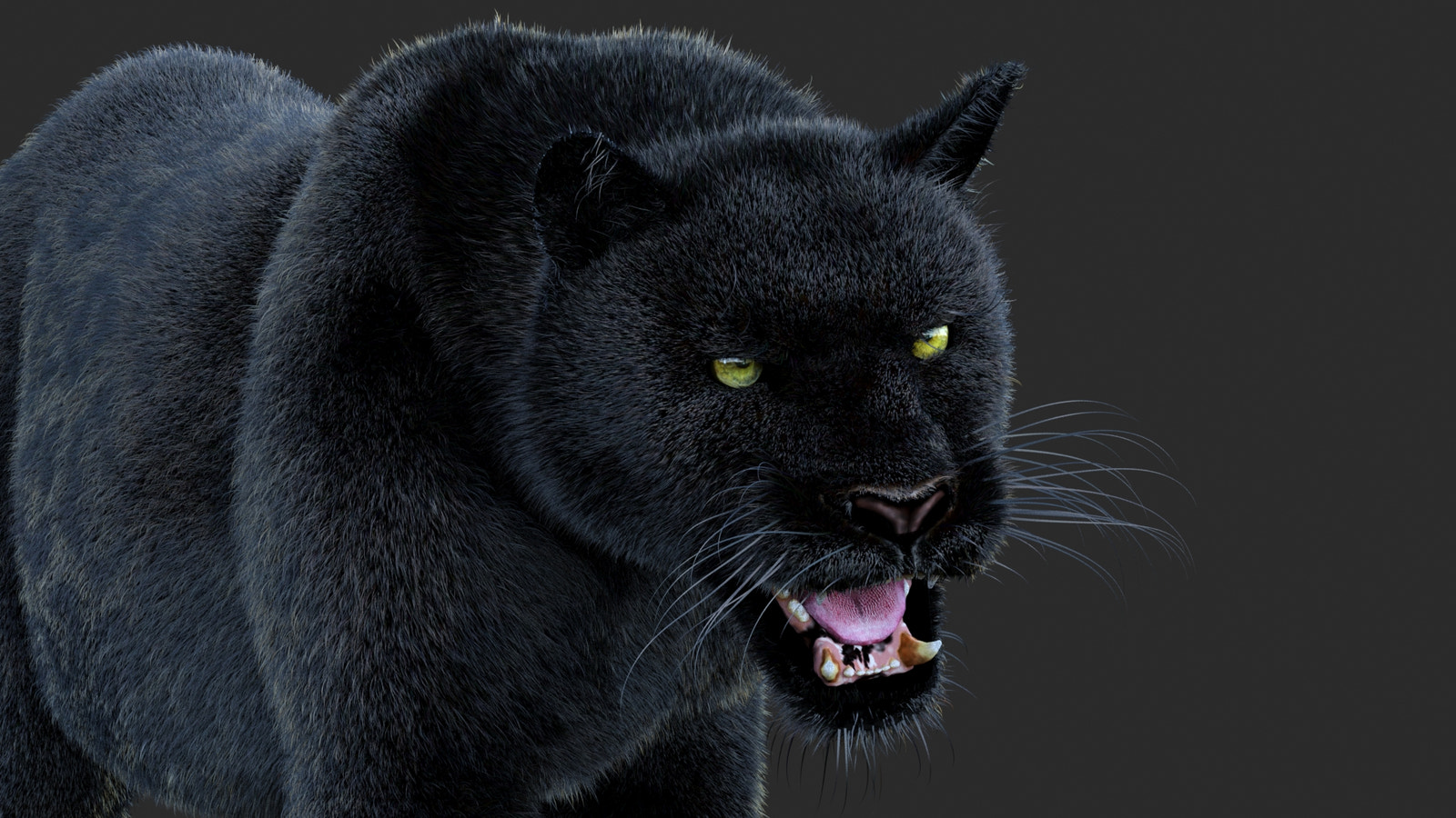 Animated Black Panther Animal 3D Model with Fur