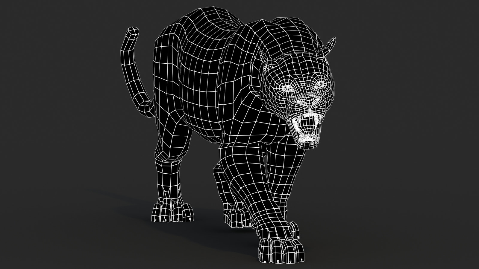 Black Panther Animal 3D Model Wireframe View 0