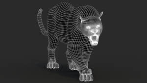 Black Panther Animal 3D Model Wireframe View 1 Thumbnail